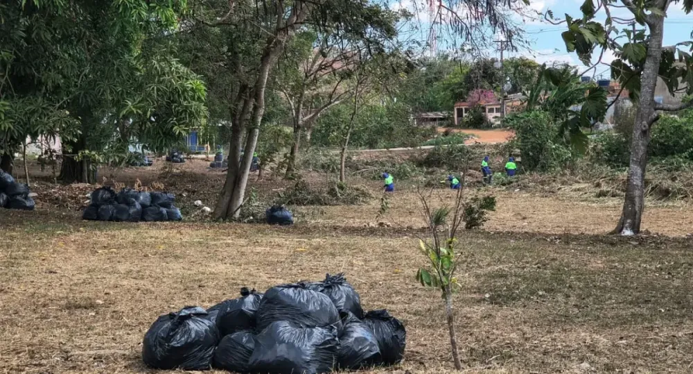 Pedido de Sofia Andrade garante limpeza de córrego na Rua Gruta Azul em Castanheira
